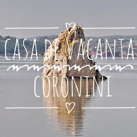 Casa De Vacanta Danube Moldova Noua Ngoại thất bức ảnh